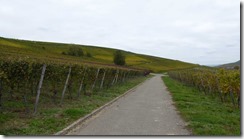 2015-10_Batzenberg (1) 2015-10_Batzenberg (1)
