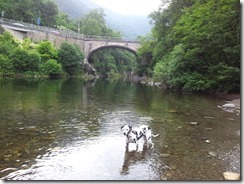 2016-05_Cannobio (50)