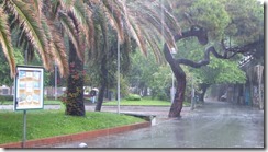 Levanto (10)