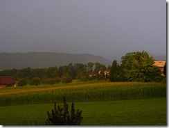2016-06_Erlenrain (1)
