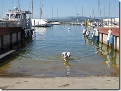 2016-08_Murten (84)