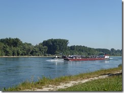 2016-09_Neuburgweier (19)