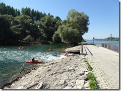 2016-09_Neuburgweier (29)