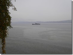 2016-10_Murten (13)