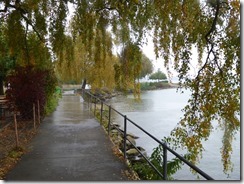 2016-10_Murten (14)