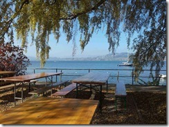 2016-10_Murten (21)