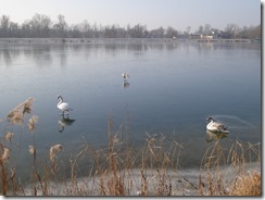 2017-01_Breisach (23) 2017-01_Breisach (23)