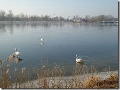 2017-01_Breisach (24) 2017-01_Breisach (24)