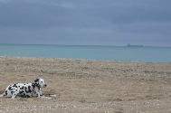 Strand bei Sète (16).JPG