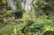 Teufelsschlucht (9).JPG
