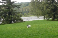 Djion am Bach Ouche (11).JPG