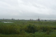 Kinderdijk (20).JPG
