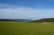 Auf dem Weg zum Point Espagnol.JPG