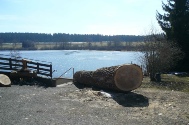 Kirnbergsee (30).JPG