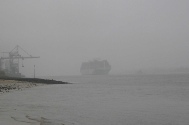Wedel an der Elbe (23).JPG
