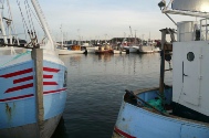 Gilleleje (10).JPG