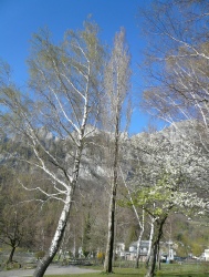 Walenstadt (36).JPG