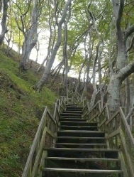 Mons Klint,Holzstiege.JPG