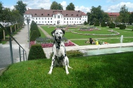 Kempten 30 (10).JPG