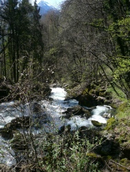 Seerenbachfälle (10).JPG