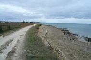 La Flotte (7).JPG
