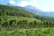 Walenstadt (11).JPG