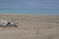 Strand bei Sète (13).JPG
