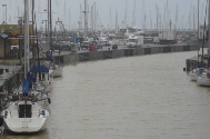 Cattoliga (10).JPG