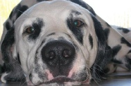Bruder Didi (DJ)_4.jpg